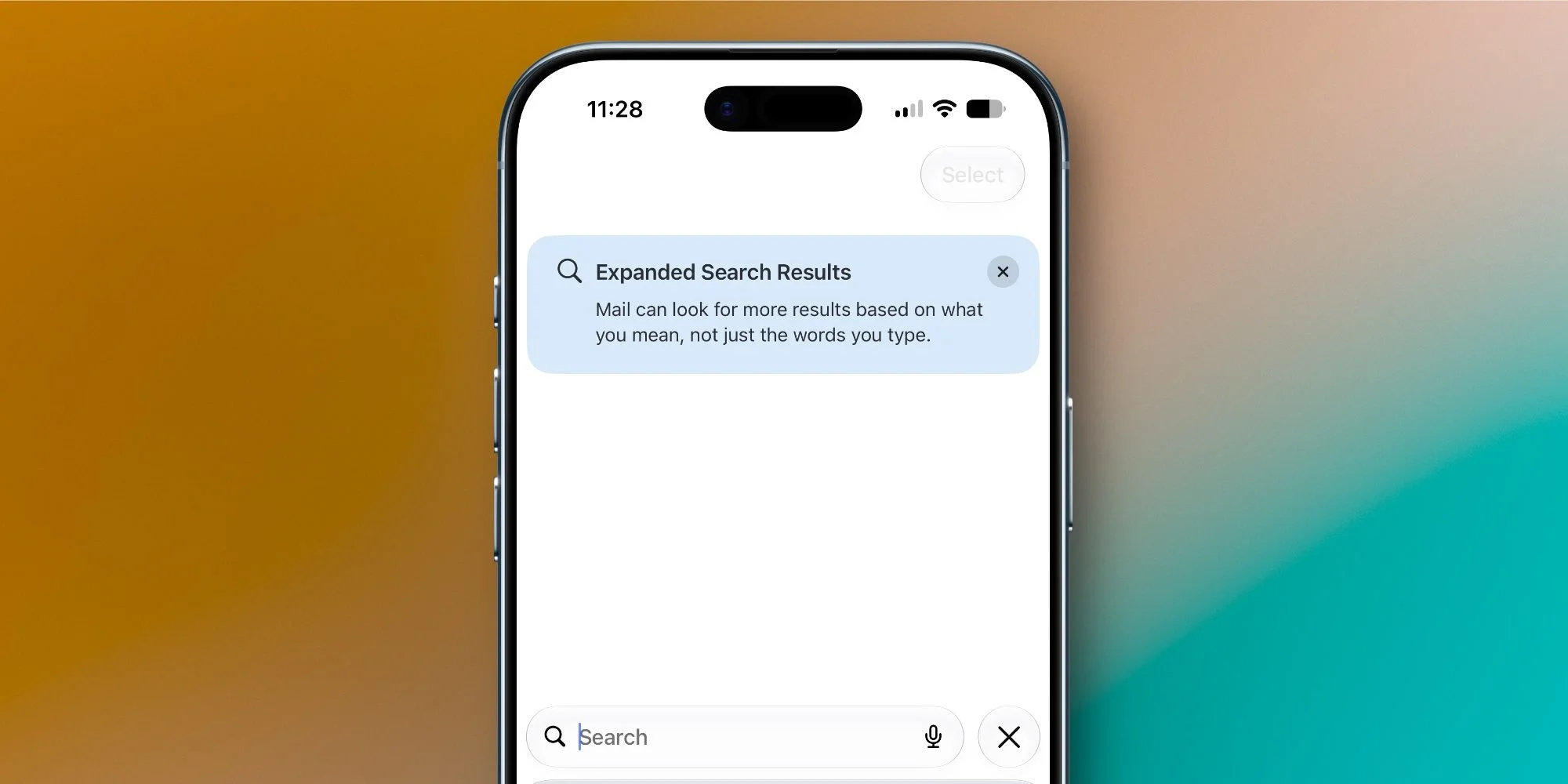 Apple Mail Search Interface